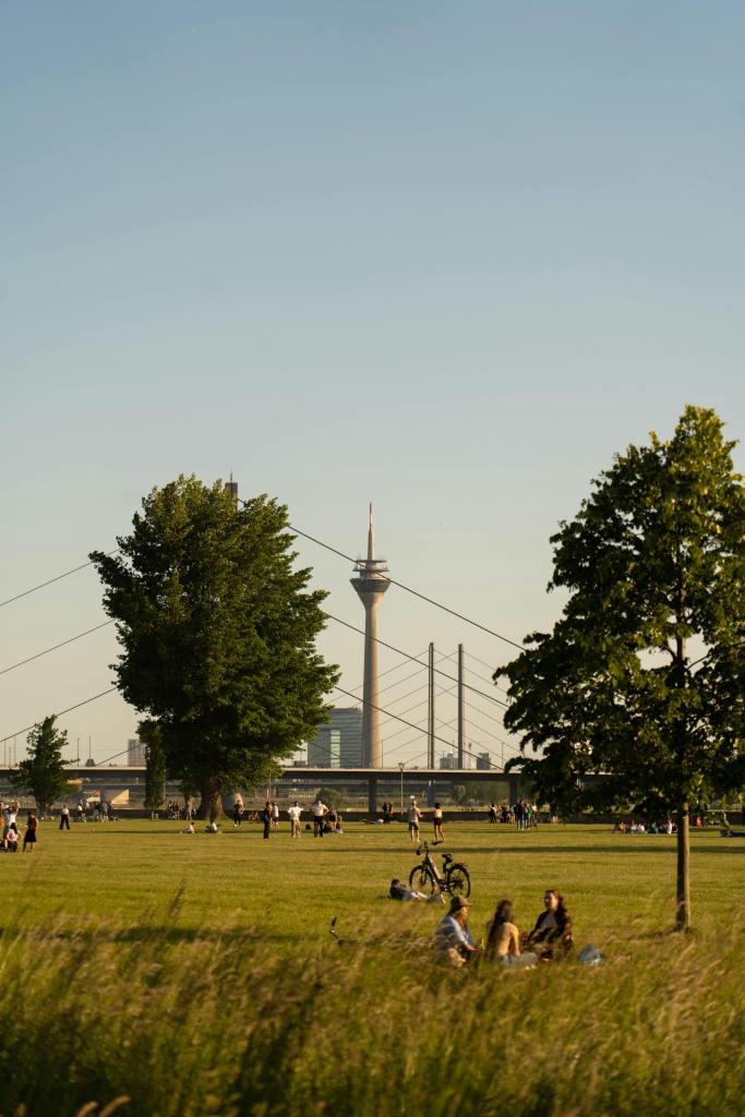 Rheinwiese in Düsseldorf an einem sonnigen Tag.